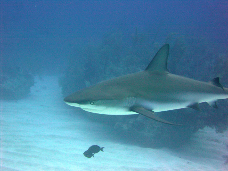 m0014640.jpg