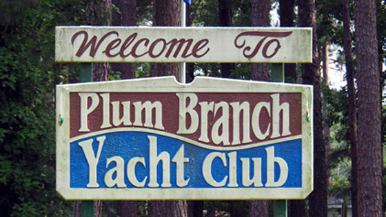 images/palm_branch.jpg"