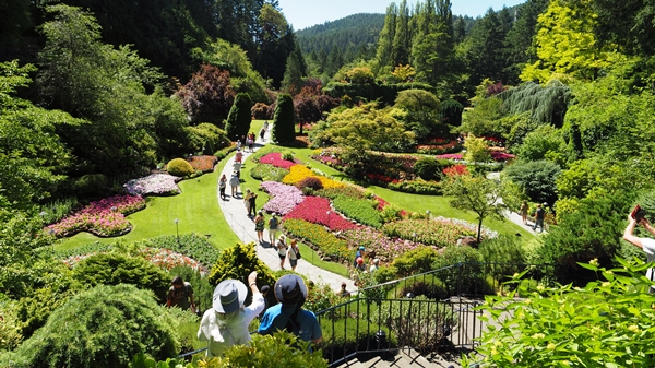 images/240715/P7150201_stitch.jpg