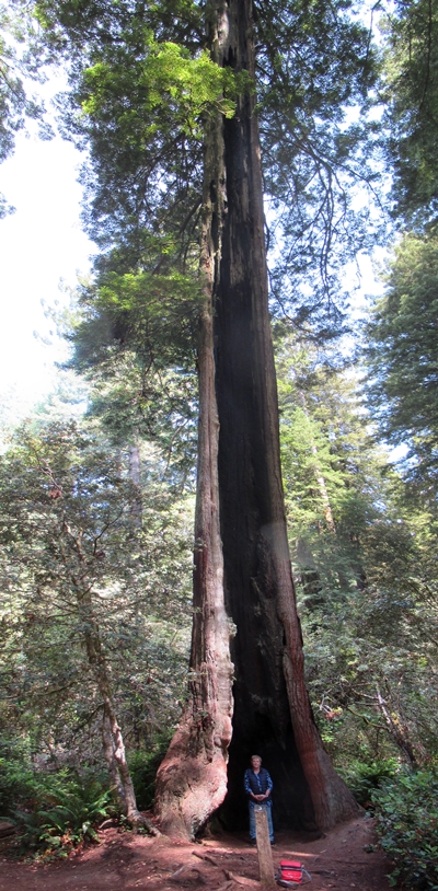 images/240720/IMG_7138_stitch.jpg