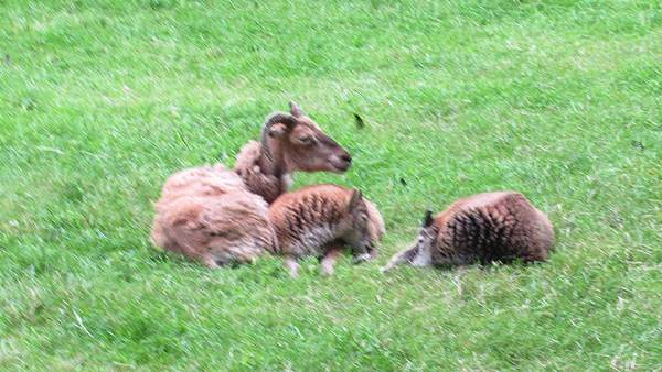 images/260612/IMG_7850.jpg