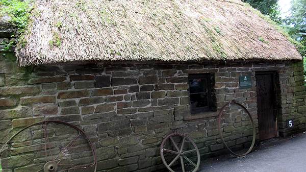 images/260612/IMG_7851.jpg