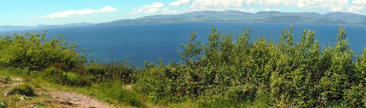 images/260620/P6201342_stitch.jpg