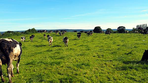 images/260622/P6211447.jpg