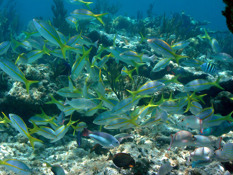 m0013668.jpg