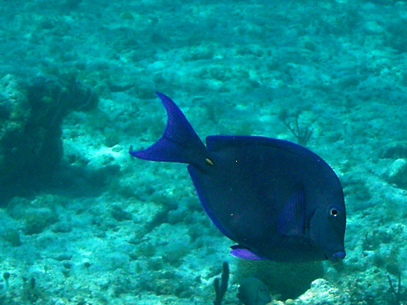m0013689.jpg