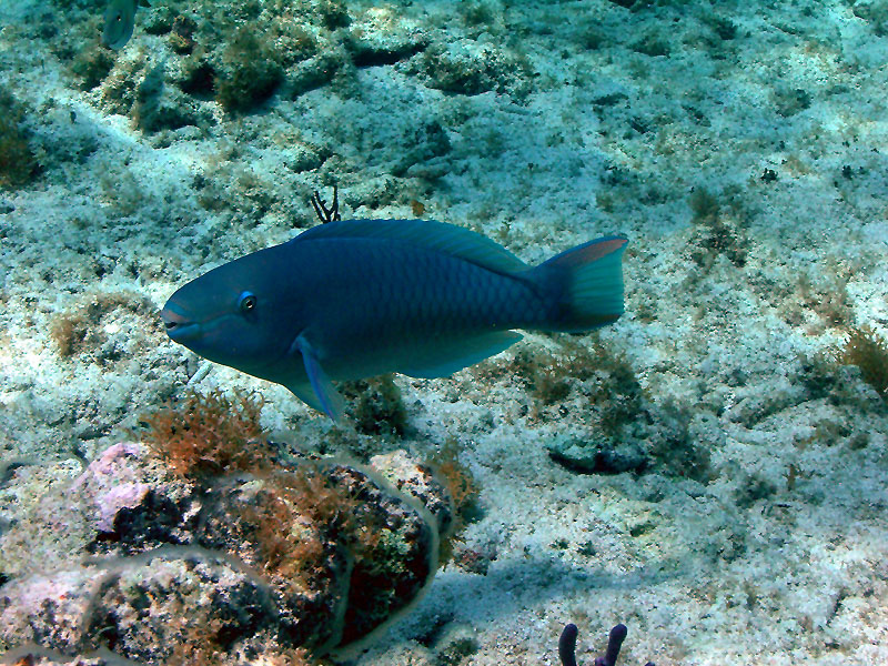 m0013692.jpg