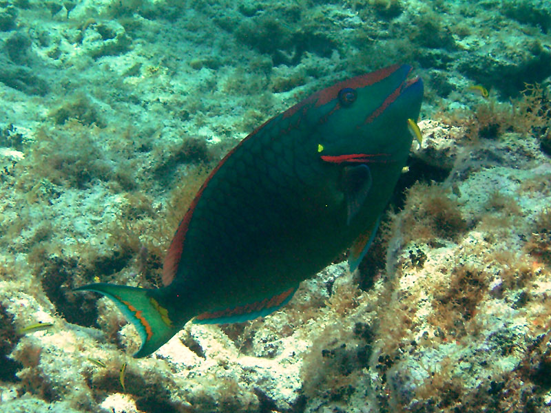 m0013709.jpg