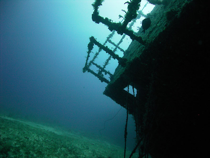 m0013828.jpg