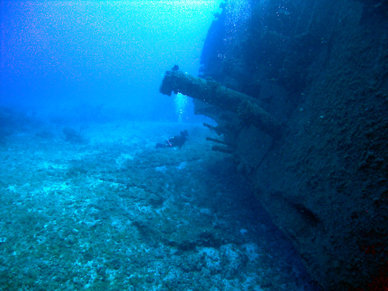 m0013844.jpg