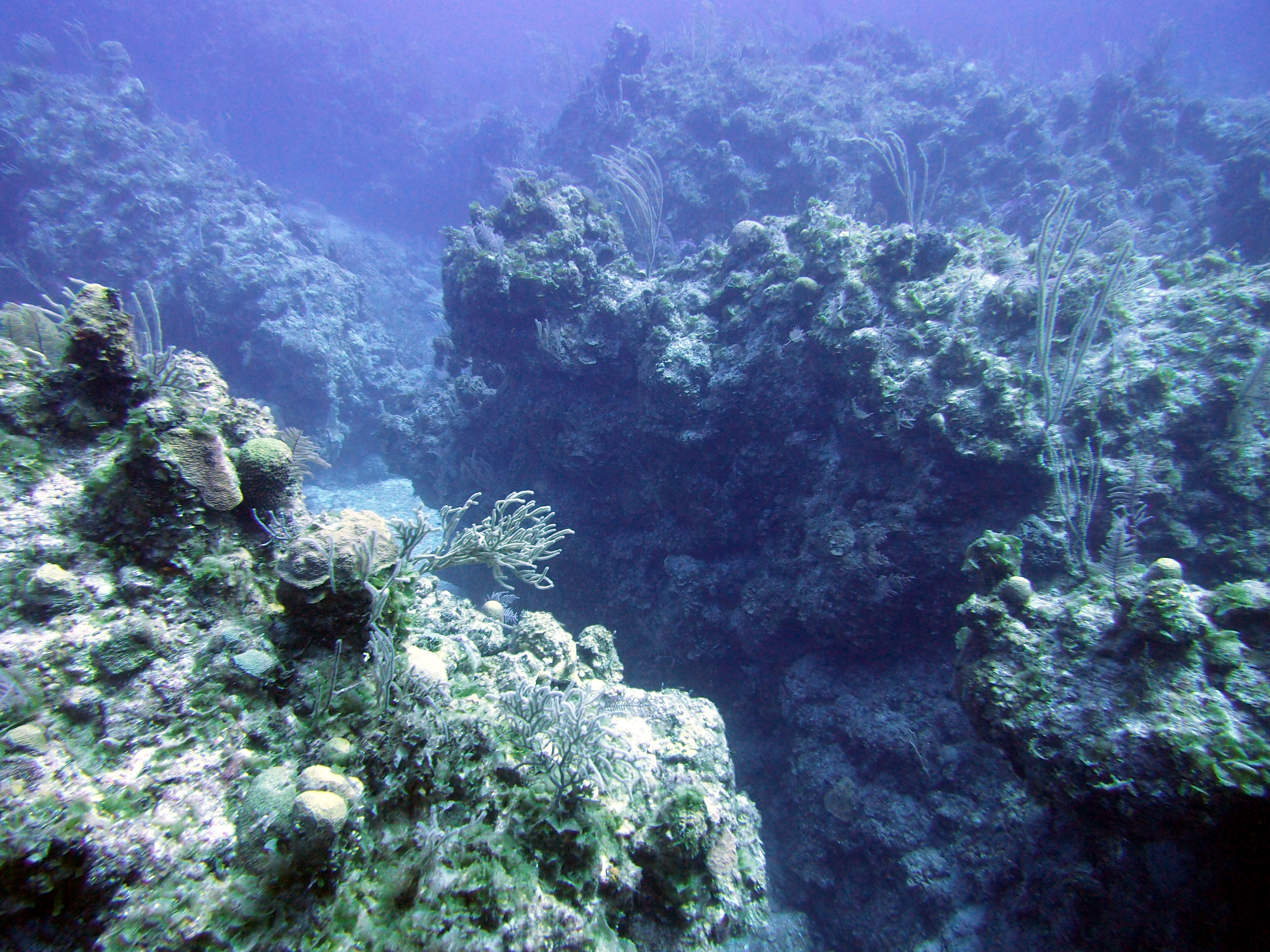 ScubaFun - Tunnels Reef